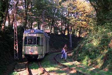 Museumsfahrzeug "BoGeStra" auf der Waldstrecke (2)